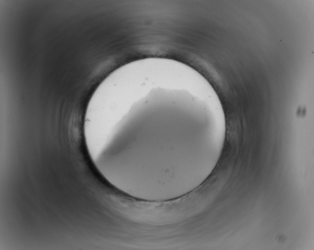 X0000102850023200809151138