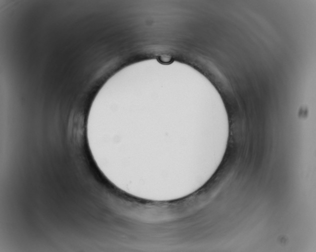 X0000102850024200809151138