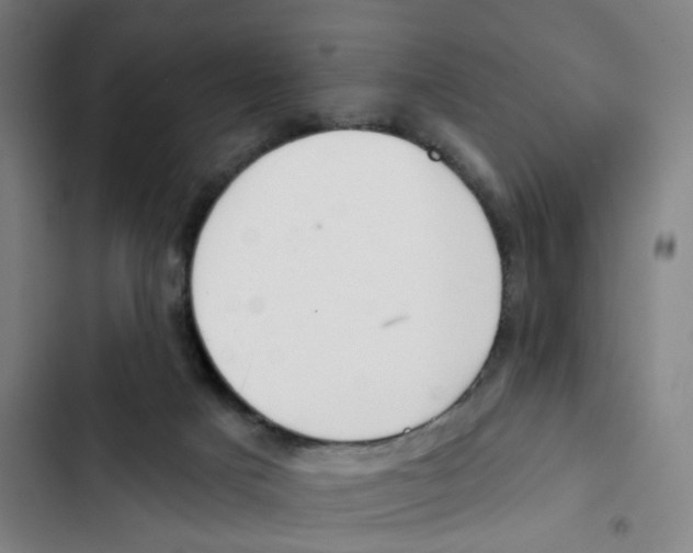 X0000102850025200809151138