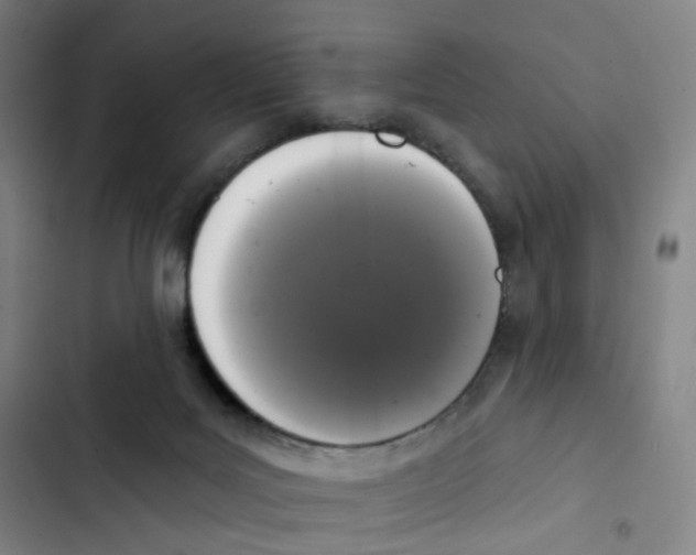 X0000102850027200809151138