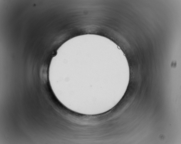 X0000102850028200809151138