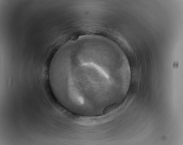 X0000102850029200809151138