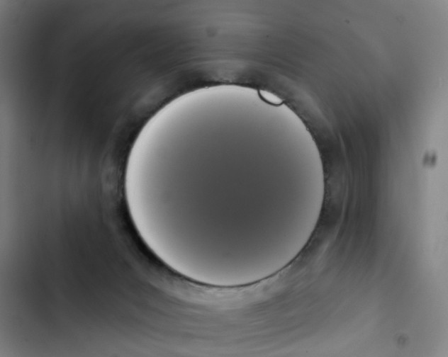 X0000102850031200809151138