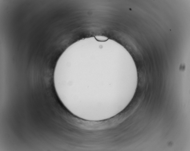 X0000102850034200809151138