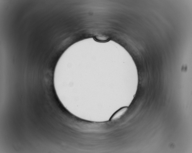 X0000102850036200809151138