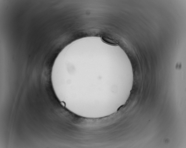 X0000102850037200809151138