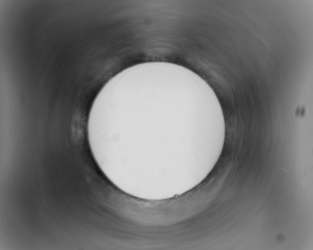 X0000102850038200809151138