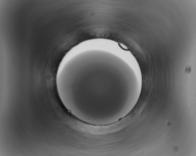 X0000102850039200809151138