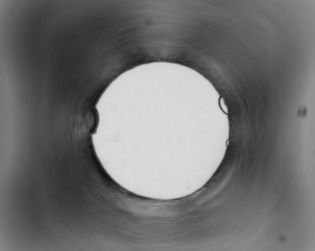 X0000102850040200809151138