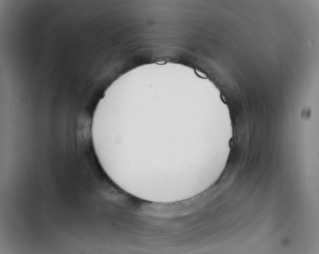 X0000102850041200809151138