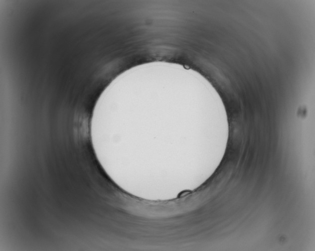 X0000102850042200809151138