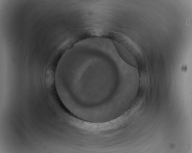 X0000102850043200809151138