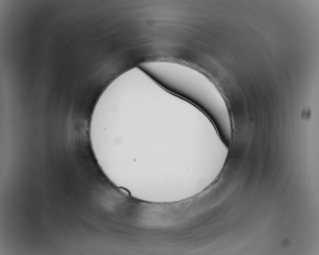 X0000102850045200809151138