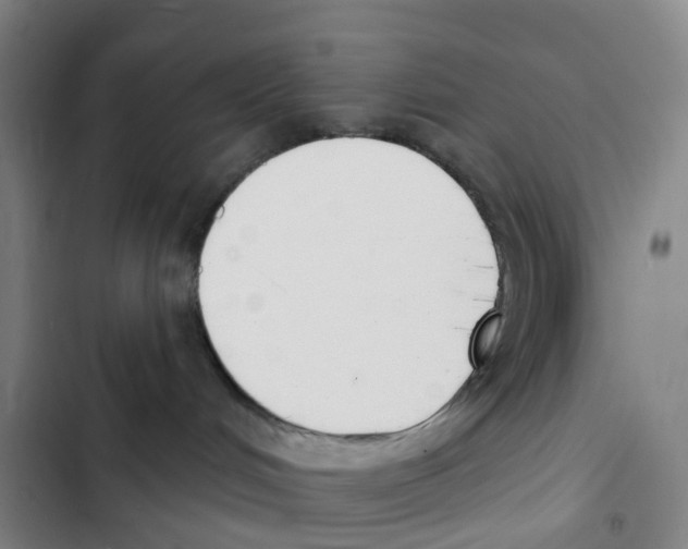 X0000102850048200809151138