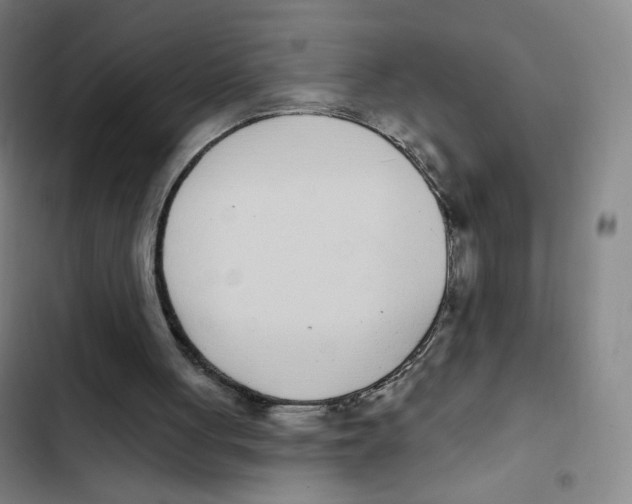 X0000102850051200809151137