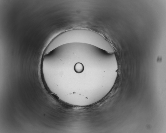 X0000102850052200809151137