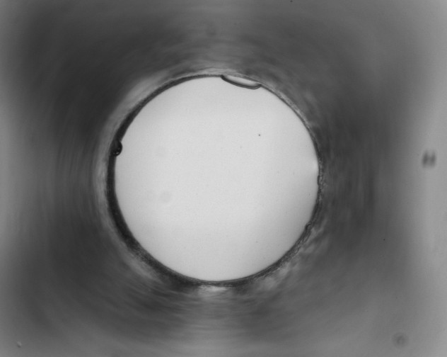 X0000102850055200809151137