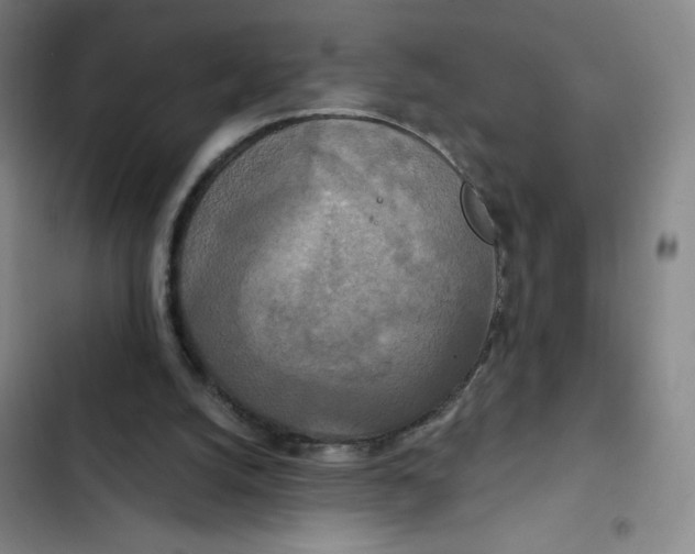 X0000102850056200809151137