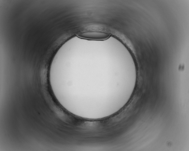 X0000102850057200809151137