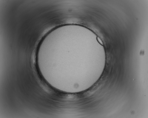 X0000102850060200809151137