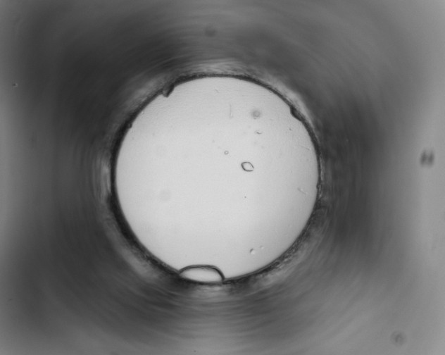 X0000102850061200809151137