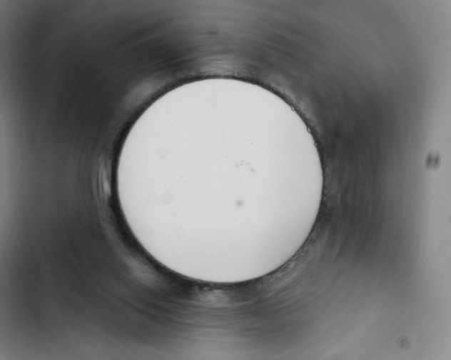 X0000102850062200809151137