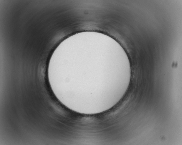 X0000102850063200809151137