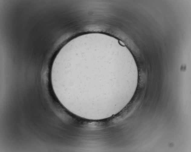 X0000102850064200809151137