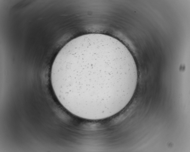 X0000102850065200809151137