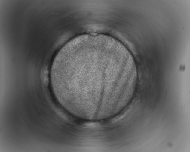 X0000102850067200809151137