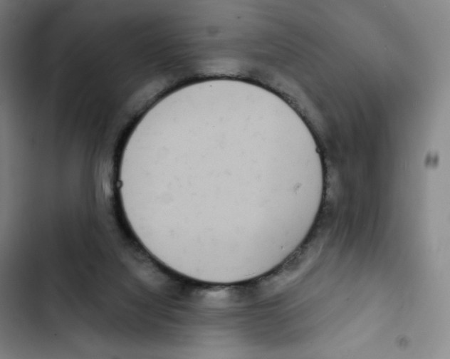 X0000102850068200809151137