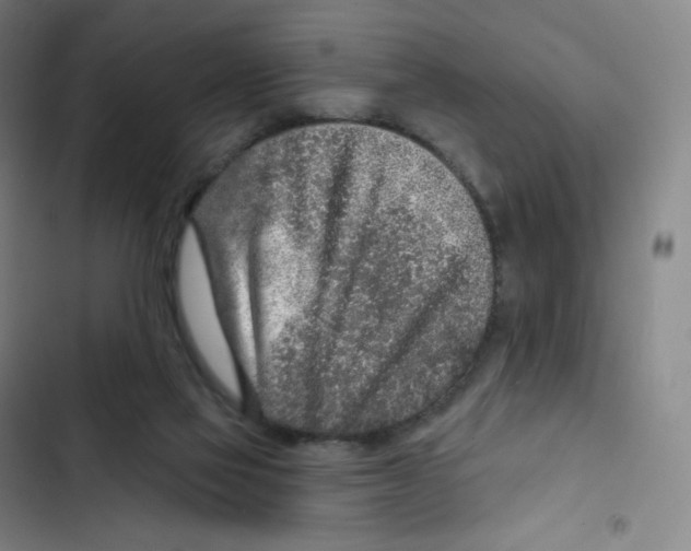 X0000102850069200809151137