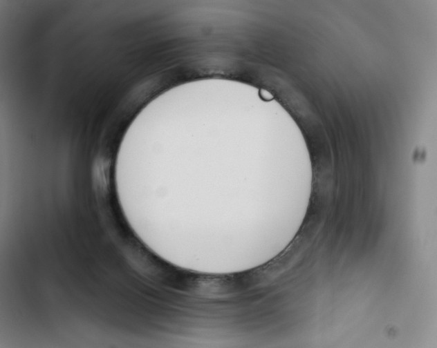 X0000102850070200809151137