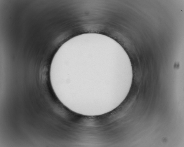 X0000102850071200809151137