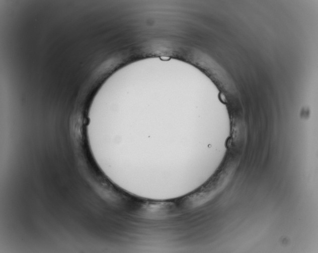 X0000102850072200809151137