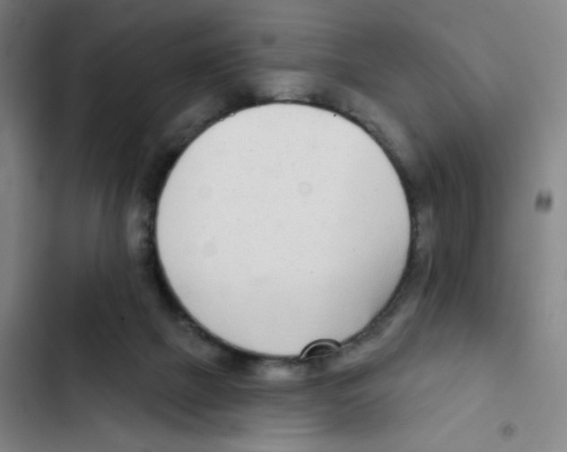 X0000102850073200809151137