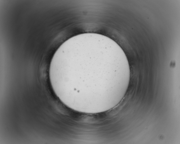 X0000102850074200809151137