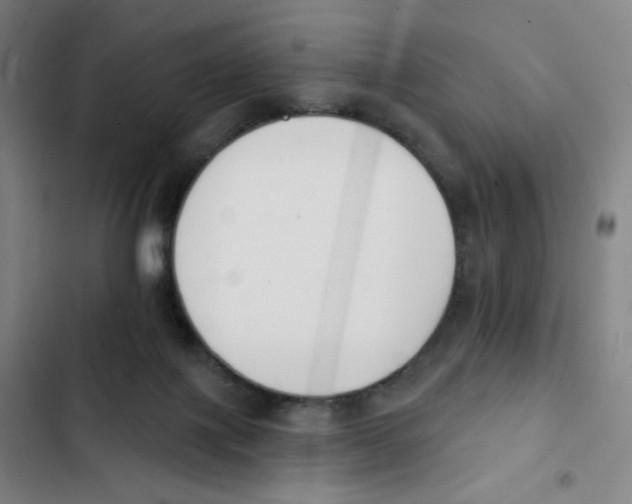 X0000102850075200809151137