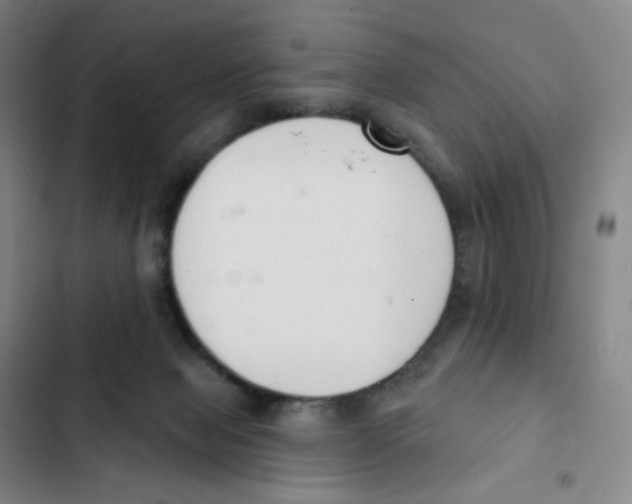 X0000102850077200809151137