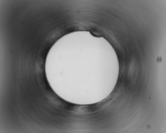 X0000102850078200809151137