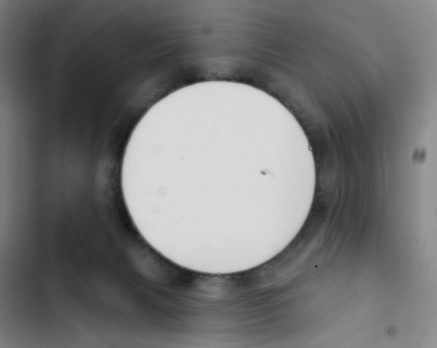 X0000102850079200809151137