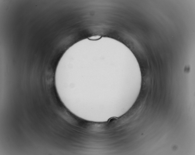 X0000102850081200809151137