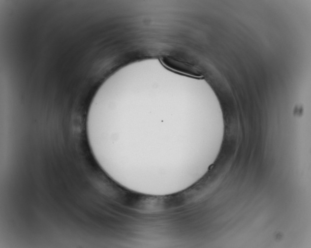 X0000102850084200809151137