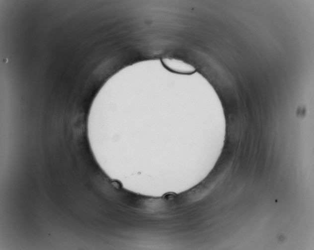 X0000102850085200809151137