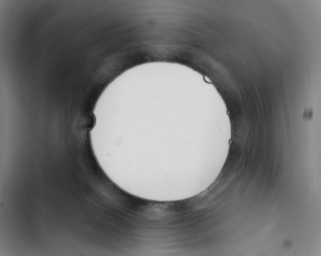 X0000102850086200809151137