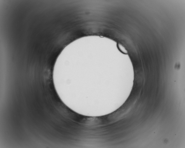 X0000102850087200809151137