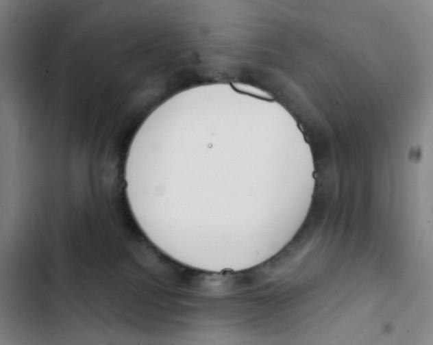 X0000102850088200809151137