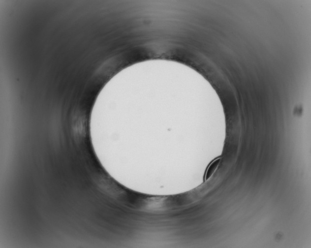 X0000102850090200809151137