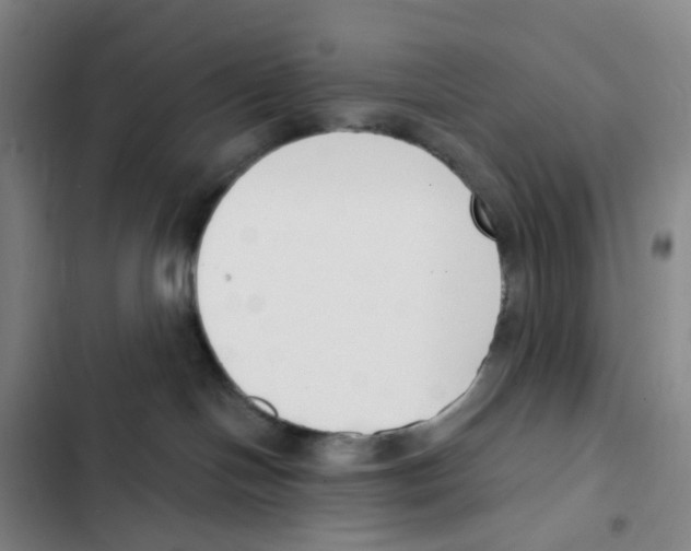 X0000102850094200809151138