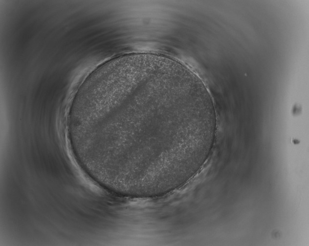 X0000102850097200809151137